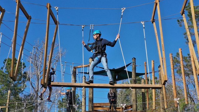 Texas Treeventures