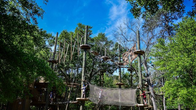Hilton Head Zipline